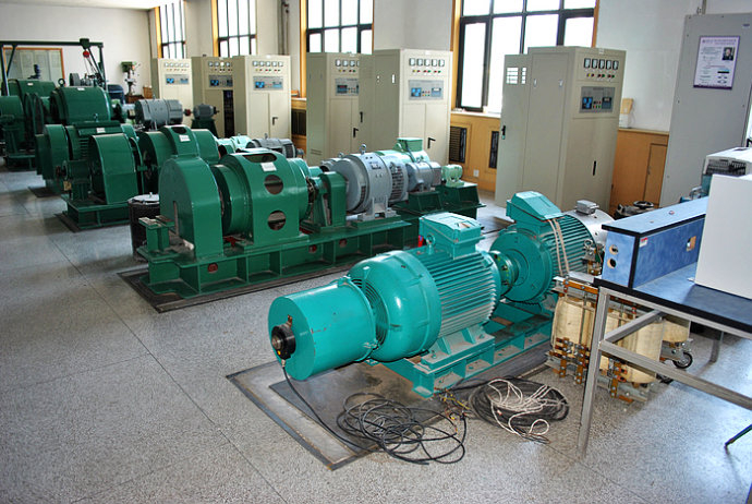 国营莺歌海盐场某热电厂使用我厂的YKK高压电机提供动力